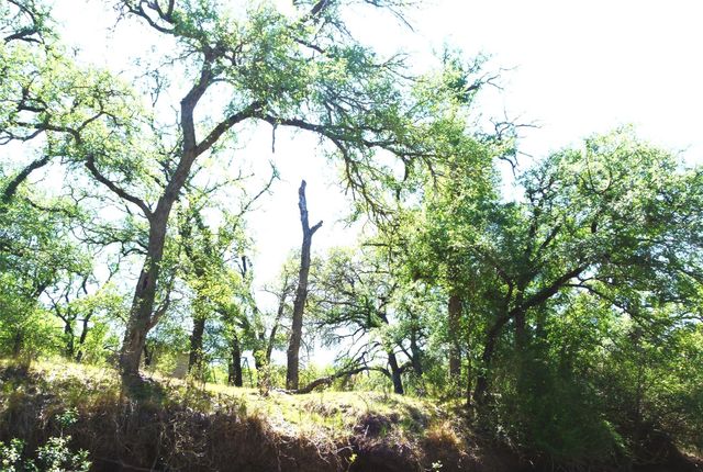 tbd Us-377, Brookesmith, TX 76827