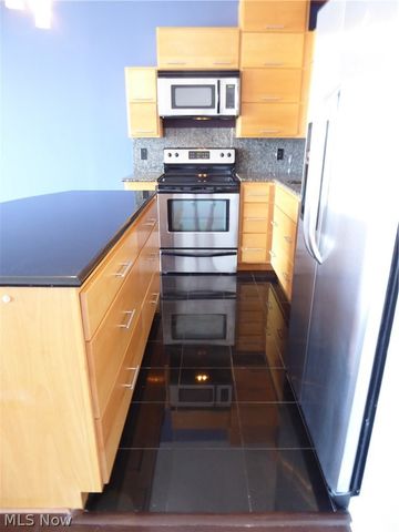 1237 Washington Avenue 507, Cleveland, OH 44113