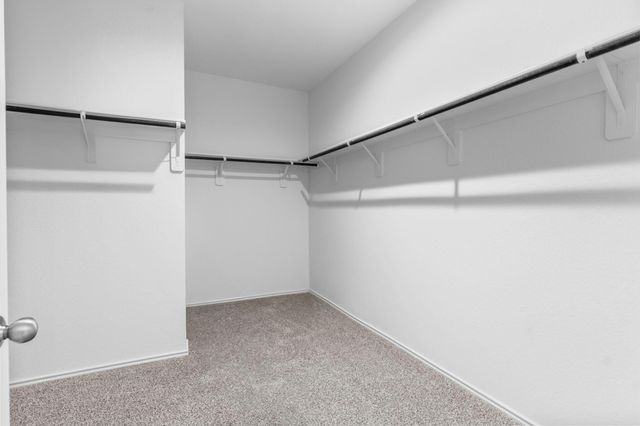 1346 Isola Bella Drive, Richmond, TX 77406