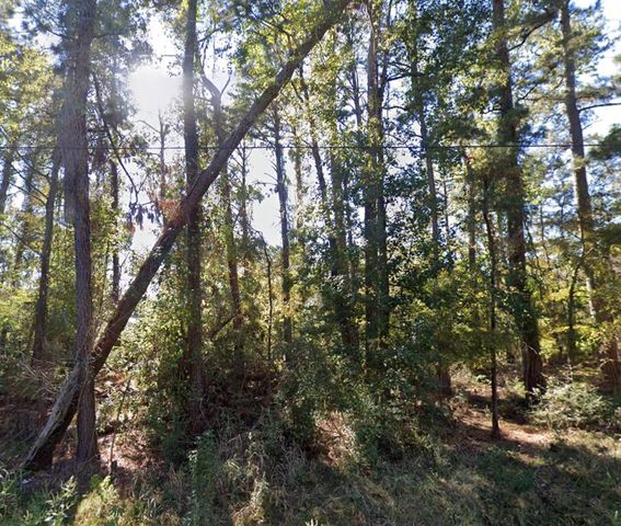 TBD Parkview Dr Drive, Onalaska, TX 77360
