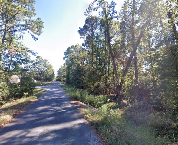 TBD Parkview Dr Drive, Onalaska, TX 77360