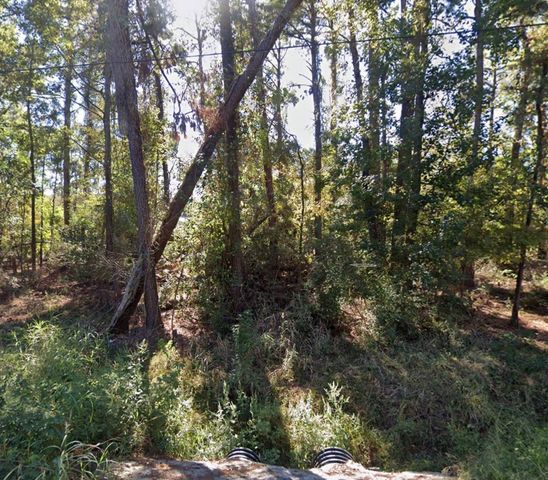 TBD Parkview Dr Drive, Onalaska, TX 77360