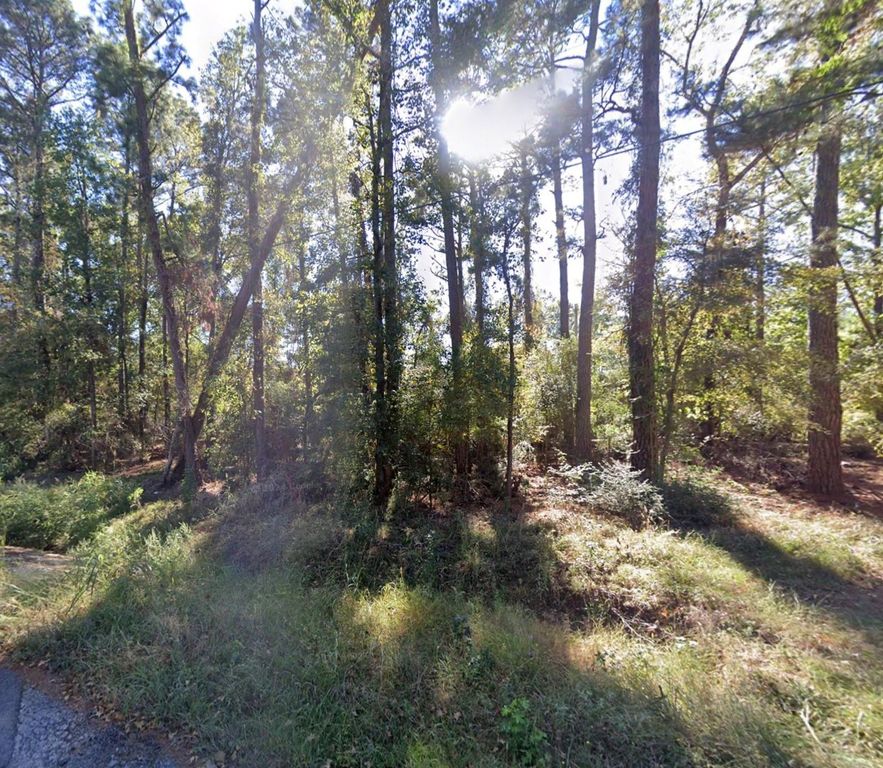 TBD Parkview Dr Drive, Onalaska, TX 77360