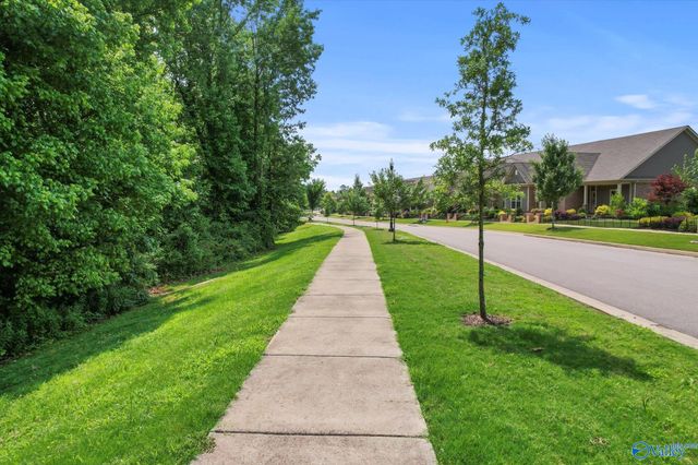 28954 Cottage Stone Place, Madison, AL 35756