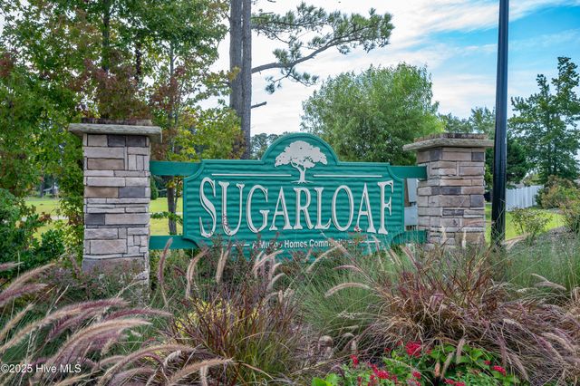 220 Averyville Drive, Conway, SC 29526