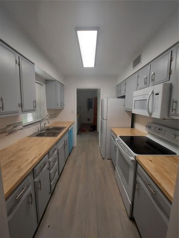 253 N BLUE LAKE AVENUE, Deland, FL 32724