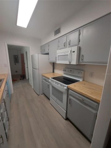 253 N BLUE LAKE AVENUE, Deland, FL 32724