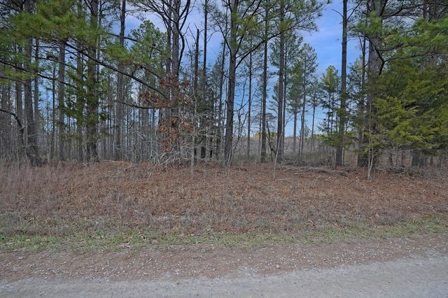 27 Shores Trail, Stewart, TN 37175