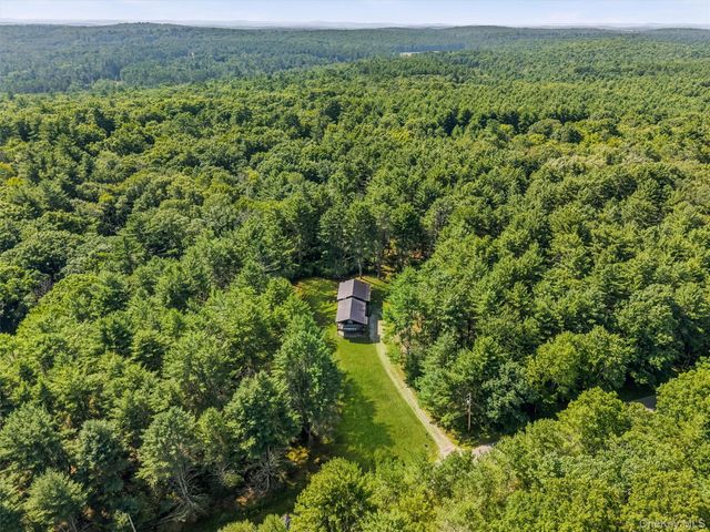 165 Dexheimer Road, Narrowsburg, NY 12764