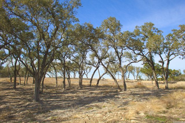 315 Canyon Terrace Dr., Canyon Lake, TX 78133