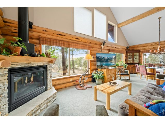 365 Overland Dr, Ward, CO 80481