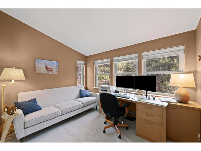 365 Overland Dr, Ward, CO 80481