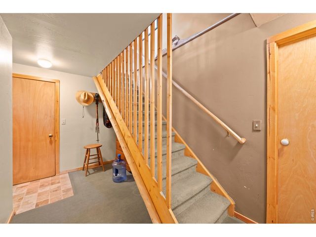 365 Overland Dr, Ward, CO 80481