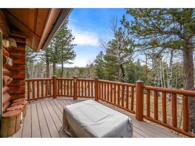 365 Overland Dr, Ward, CO 80481