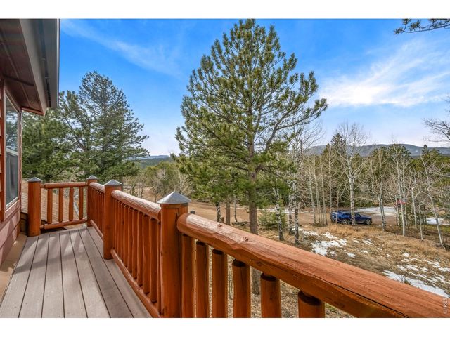 365 Overland Dr, Ward, CO 80481