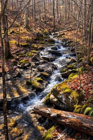 6081 Buck Mountain Rd, Cookeville, TN 38506