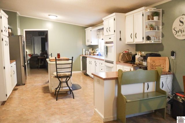 3093 State Route 564, Mayfield, KY 42066