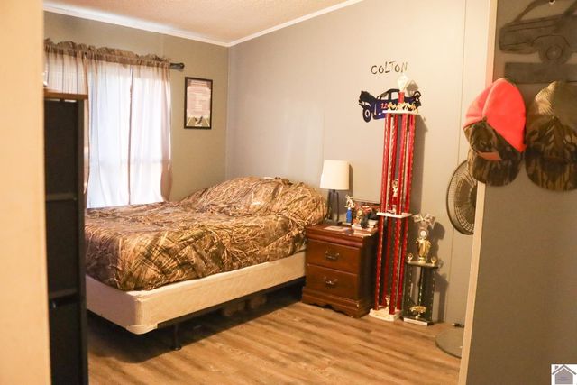 3093 State Route 564, Mayfield, KY 42066