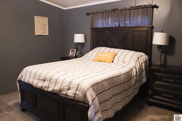 3093 State Route 564, Mayfield, KY 42066