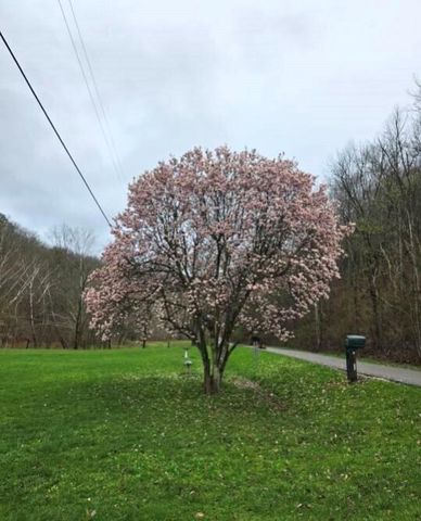 2246 Asa Creek Road, Hager Hill, KY 41222
