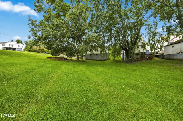 246 Randolph Street, Bristol, VA 24201