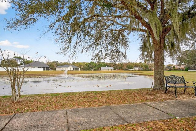 4520 CLAIRE ROSE COURT, Mount Dora, FL 32757