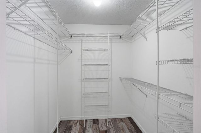 733 SWAYING PALM DRIVE, Apopka, FL 32712