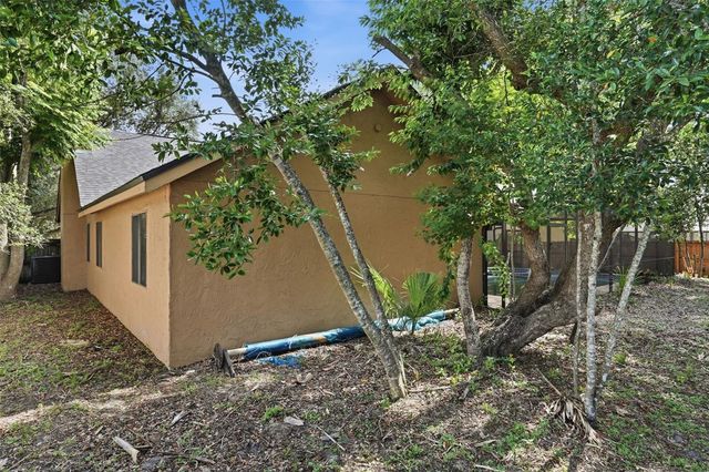 733 SWAYING PALM DRIVE, Apopka, FL 32712