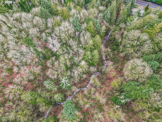 0 Parcel 00485905, Oregon City, OR 97045