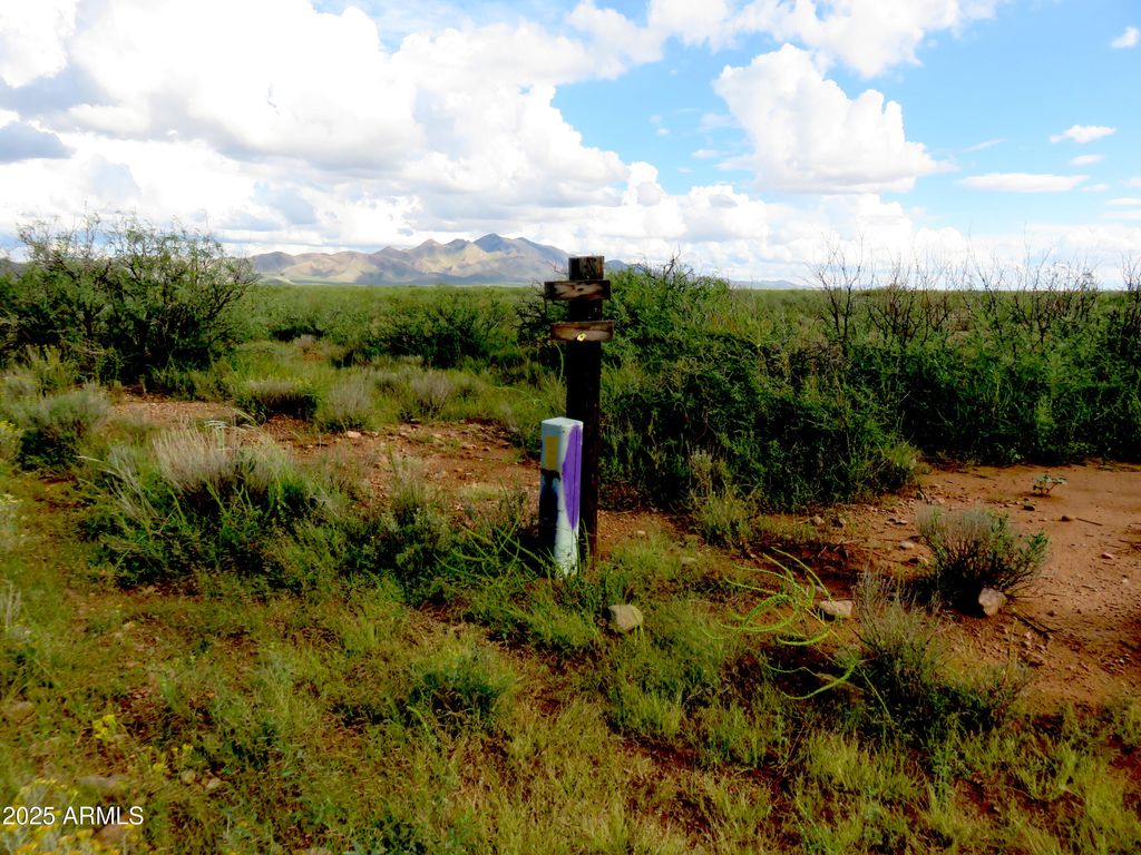 Image 2 of property listing at TBD W Austin Henely Road 9, Elfrida, AZ 85610