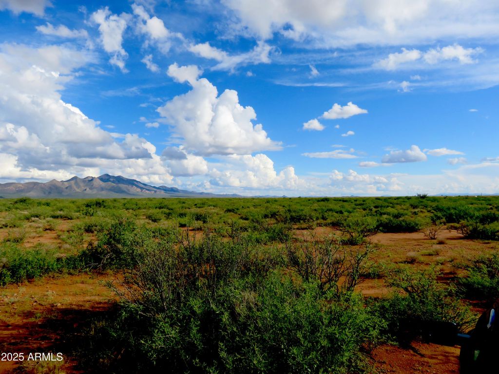 Image 5 of property listing at TBD W Austin Henely Road 9, Elfrida, AZ 85610