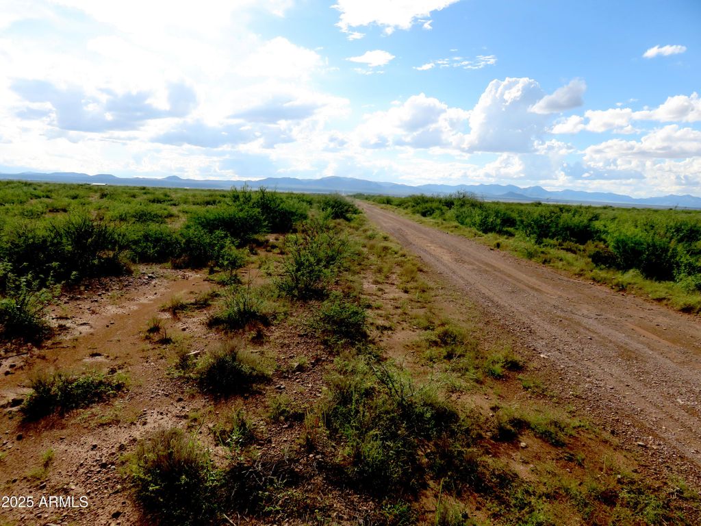 Image 7 of property listing at TBD W Austin Henely Road 9, Elfrida, AZ 85610
