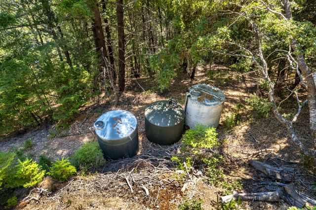 745 Applewood Road, Honeydew, CA 95545