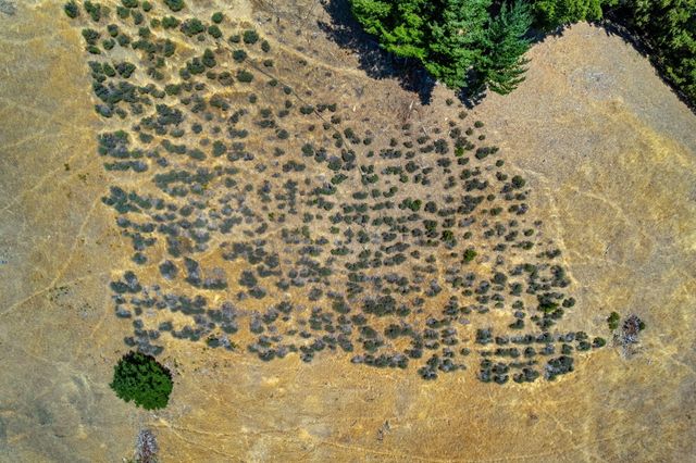 745 Applewood Road, Honeydew, CA 95545