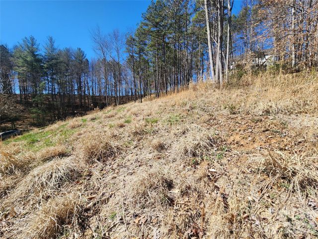 9999 Country Drive, Mars Hill, NC 28754