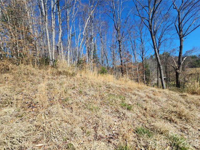 9999 Country Drive, Mars Hill, NC 28754