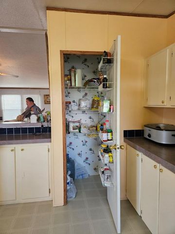 448 Reeves Lane, Harper, TX 78631