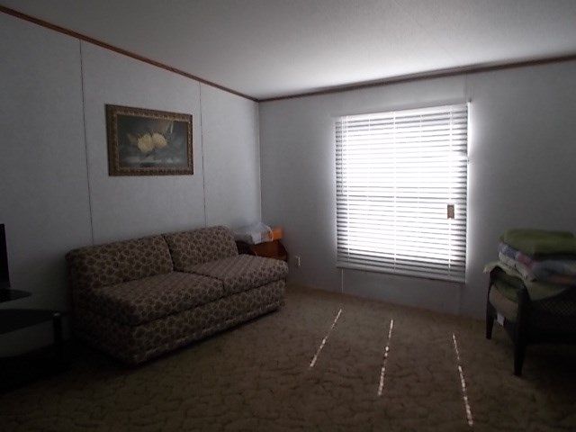 448 Reeves Lane, Harper, TX 78631