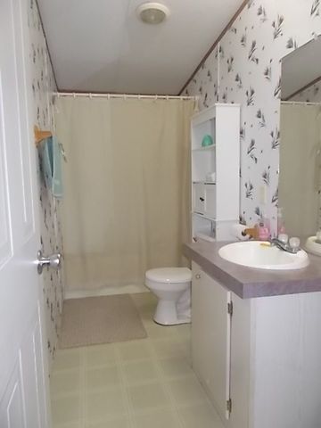 448 Reeves Lane, Harper, TX 78631