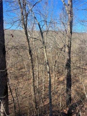 TBD Ferry Road, Winslow, AR 72959