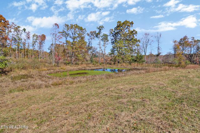 0 Hollow Lane - 35 Acres, Crossville, TN 38571