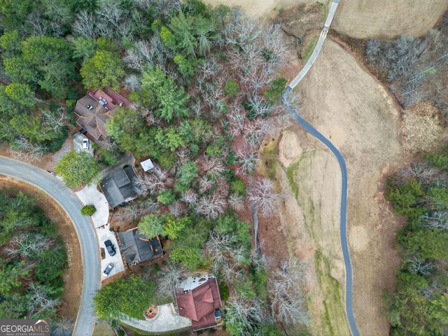 697 Zeppelin Strasse, Helen, GA 30545