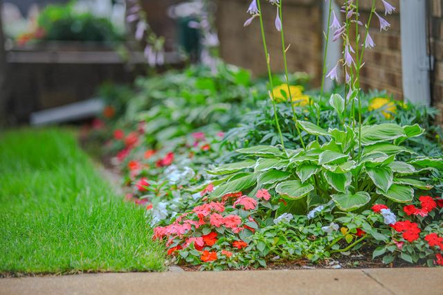 6318 Lavinia Road NE, Northern Twp, MN 56601