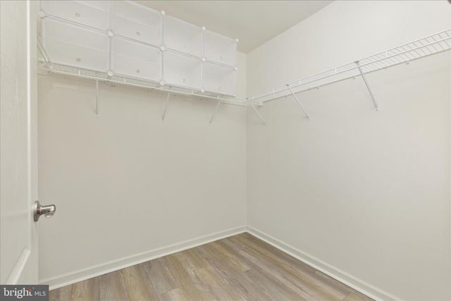 250 STAGER AVE, Falling Waters, WV 25419