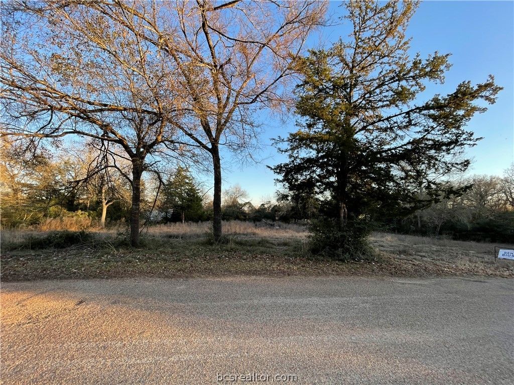 TBD North Golfclub Drive, Hilltop Lakes, TX 77871 — photo 3