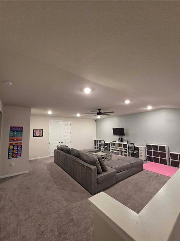12919 WILLOW GROVE DRIVE, Riverview, FL 33579