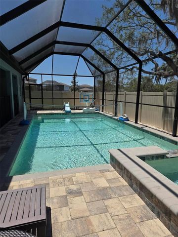 12919 WILLOW GROVE DRIVE, Riverview, FL 33579