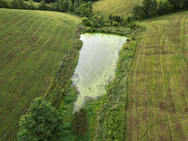 0 Hwy 22 and Hwy 227, Owenton, KY 40359