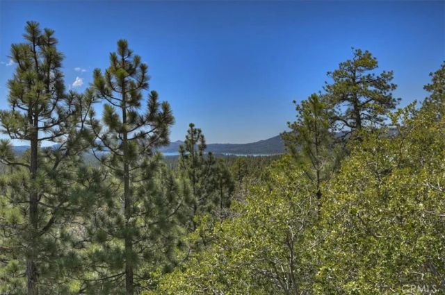 764 Menlo, Big Bear Lake, CA 92315