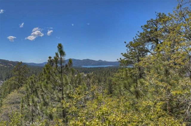 764 Menlo, Big Bear Lake, CA 92315